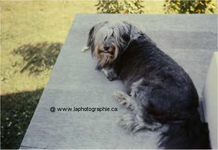 Photo d'une vieille diapositive photographi�e en digital